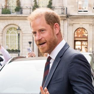 Bang Showbiz / Prince Harry has stepped down from the board of African Parks after a decade with the conservation organisation.