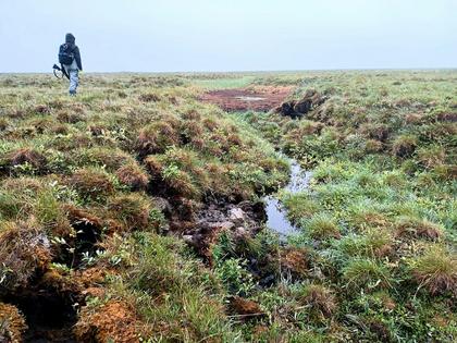 Thermokarst ponds, or trough ponds, typically form when the ice in permafrost melts. They can also drain quickly. Anna Liljedahl