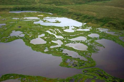 Thermokarst ponds like these dot the landscape on the Seward Peninsula in western Alaska.
USGS and USFS