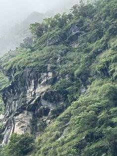 High on the mist-covered cliffs of the Nepal Himalayas, giant Himalayan cliff bees build their hives on sheer rock faces.
Prayan Pokharel, CC BY
