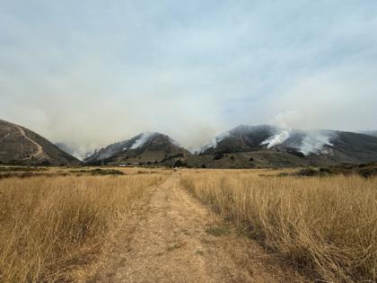 Cal Fire/TNS/TNS
