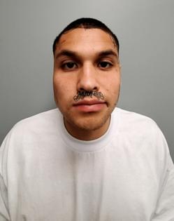 California Department of Corrections and Rehabilitation/California Department of Corrections and Rehabilitation/TNS