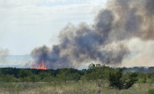 Texas A&M Forest Service/TNS