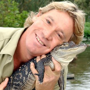 Bang Showbiz / Steve Irwin's family have marked the 20th anniversary of his death