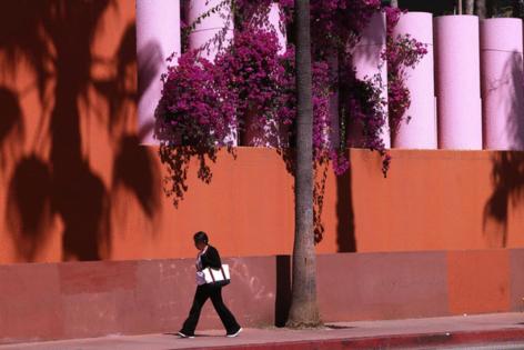 Genaro Molina/Los Angeles Times/TNS