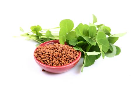 Should you consider trying fenugreek? (Dreamstime/TCA)