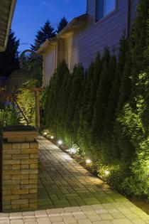 Low-voltage exterior lighting systems are available in many styles and sizes. (Dreamstime/TCA)