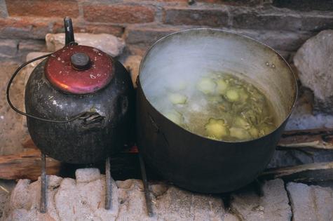 Tea being prepared from San Pedro.
Patrick De Wilde/Gamma-Rapho via Getty Images