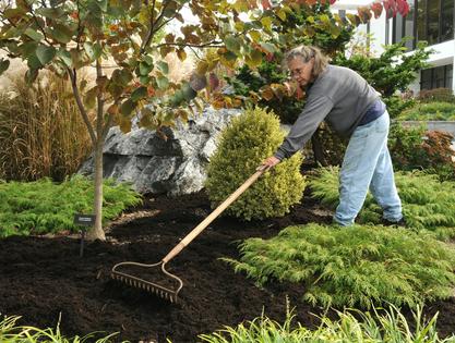 A gardener spreads mulch on a garden bed in preparation for winter.
              Harold Hoch/MediaNews Group/Reading Eagle via Getty Images