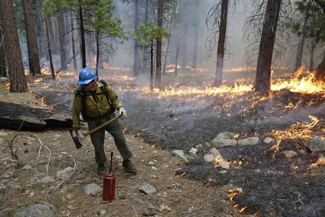 Firefighters use prescribed burns – low-intensity, closely managed fires – to clear out undergrowth and protect the heart of Kings Canyon National Park in California’s Sierra Nevada.
              AP Photo/Brian Melley