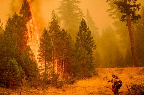 A firefighter monitors a backfire in California, set to clear away dry vegetation that could fuel wildfires. Josh Edelson/AFP via Getty Images