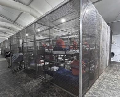 Homeland Security Office of the Inspector General/TNS