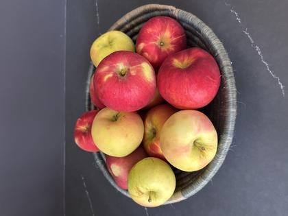 So many apples, so many possibilities.. (JeanMarie Brownson/TCA)