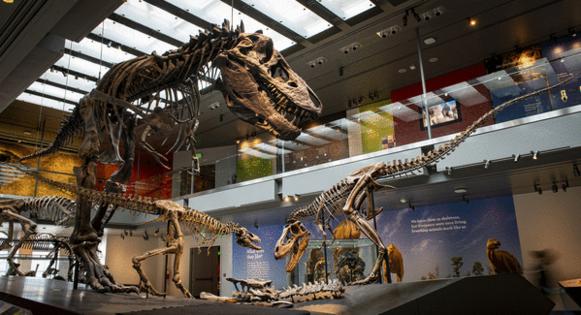 Stephanie Abramowicz, Dinosaur Institute, Natural History Museum of Los Angeles County/TNS/TNS