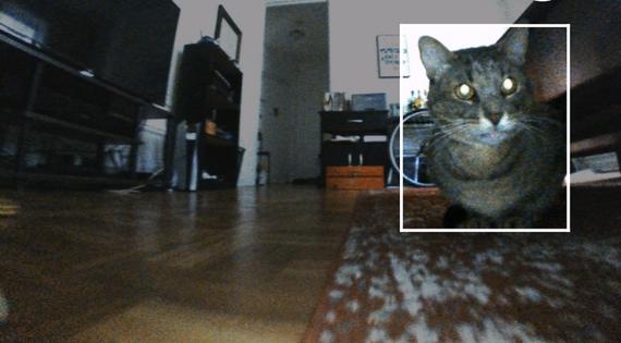 The camera on a robot vacuum cleaner captured this cat. What else did it capture around the house?  voorts/Wikimedia Commons, CC BY-SA