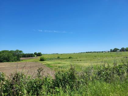 A conventional farm, left, sits next to an ‘ex-conventional’ regenerative pasture.
Sydney Giacalone