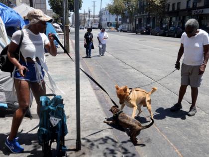 Genaro Molina/Los Angeles Times/TNS