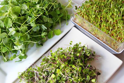 These tiny greens can deliver big nutrition. (Dreamstime/TCA)