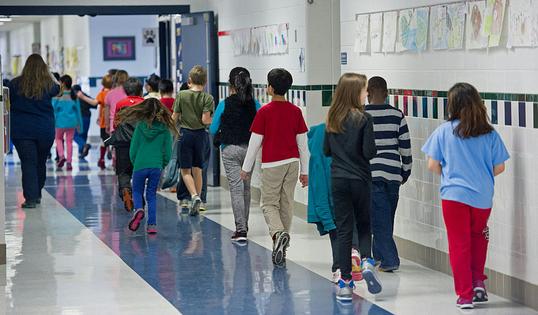 Older school buildings can harbor hazards such as mold, lead and asbestos that newer construction avoids.
              Paul J. Richards/AFP Collection via Getty Images