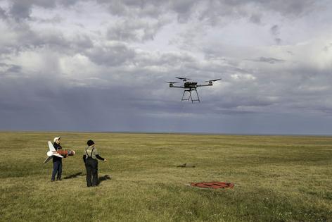 Researchers operate a drone-borne geophysical system over Arctic tundra near Utqiaġvik, Alaska, in August 2024. Suspending the sensor below the aircraft enables them to survey wet and thaw-sensitive ground that is hard to reach.
              Emma Kappel