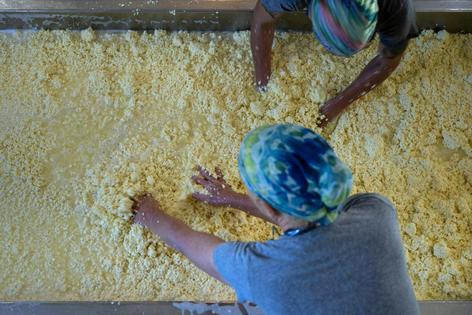 Making cheese involves separating curds from whey.
              Brendan Smialowski/AFP via Getty Images