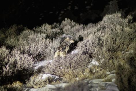 Colorado Parks and Wildlife/Colorado Parks and Wildlife/TNS