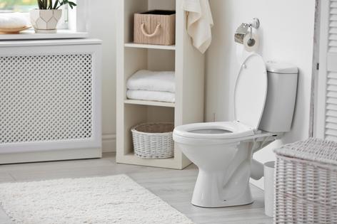 If you're adventurous and want to improve your plumbing skills, you can install your own toilet and save 51% for your effort. (Dreamstime/TCA)