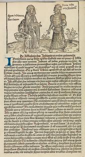 The ‘Peregrinatio in Terram Sanctam,’ by Bernhard von Breydenbach.
              The Metropolitan Museum, New York