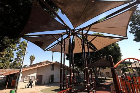 Genaro Molina/Los Angeles Times/TNS