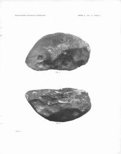 A rock found on the surface of the ice in 1912 was the first meteorite located in Antarctica.
              Australian Antarctic Program
