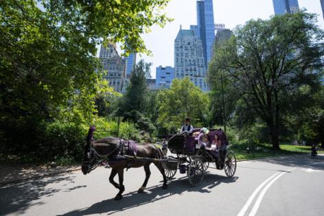 Barry Williams/New York Daily News/TNS