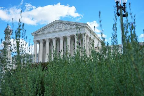 The Supreme Court will hear arguments in the St. Mary case on Nov. 3, 2026.
AP Photo/Mariam Zuhaib