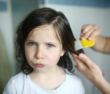 Headlice have a high ick factor, but thankfully but these insects aren't dangerous and don't spread disease.  Catherine DELAHAYE/Photononstop via Getty Images