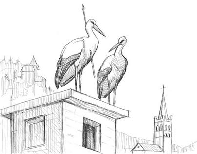 When storks began showing up with African arrows in their backs, early ornithologists made an important discovery: Birds migrate.
John Anderton/The Atlas of North America's Migratory Birds