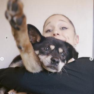 Bang Showbiz / Ariana Grande mourns death of dog Coco