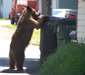 Montana Fish, Wildlife & Parks/TNS