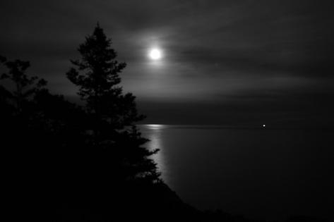 A full moon over Seal Harbor.
Marcus Librizzi