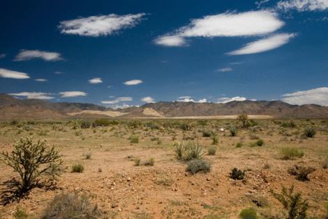 Dreamstime/Dreamstime/TNS