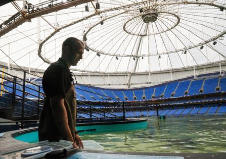 Dirk Shadd/Tampa Bay Times/TNS