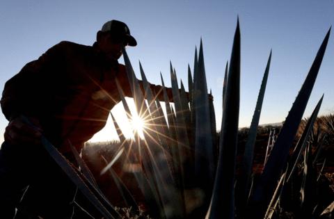 Ulises Ruiz/Getty Images North America/TNS