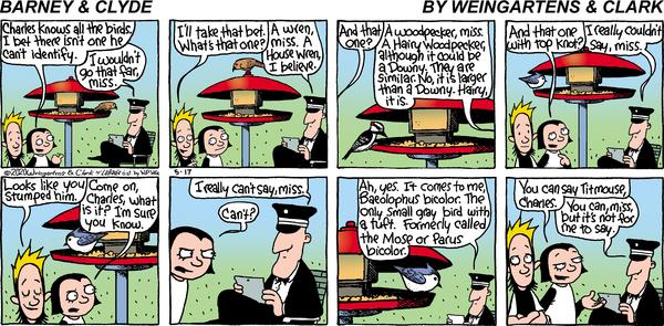Barney & Clyde for 5/17/2020