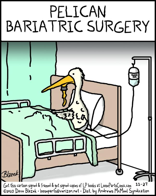 Loose Parts for 11/27/2023