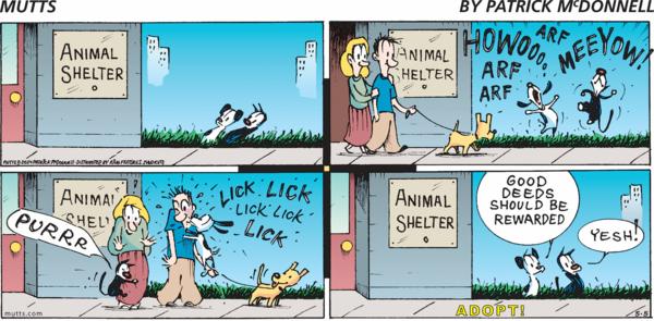 Mutts by Patrick McDonnell on Sun, 05 May 2024