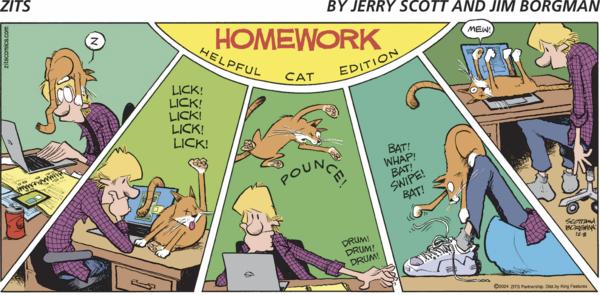 Zits by Jerry Scott and Jim Borgman on Sun, 08 Dec 2024