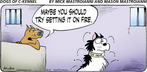 Dogs of C-Kennel for 8/10/2025