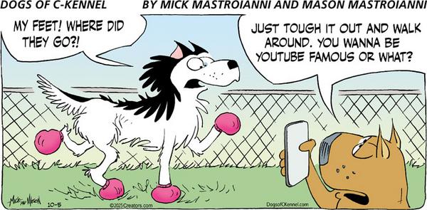 Dogs of C-Kennel for 10/5/2025