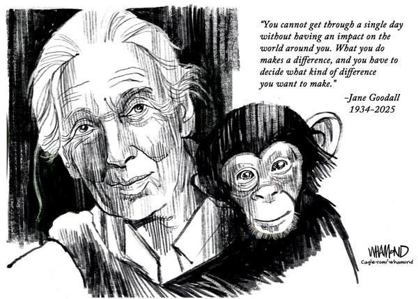 Jane Goodall RIP