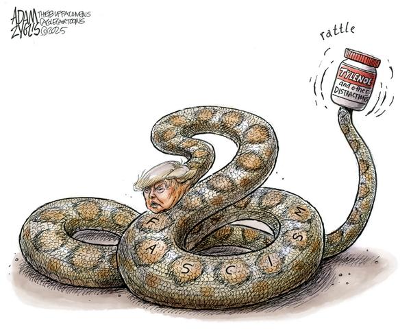 Trump Distractions