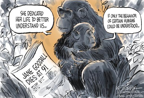 Jane Goodall