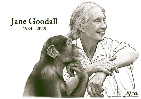 Jane Goodall Portrait